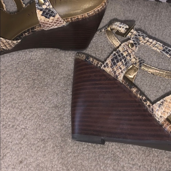 Snake skin heels by DANA BUCHMAN - Picture 5 of 6